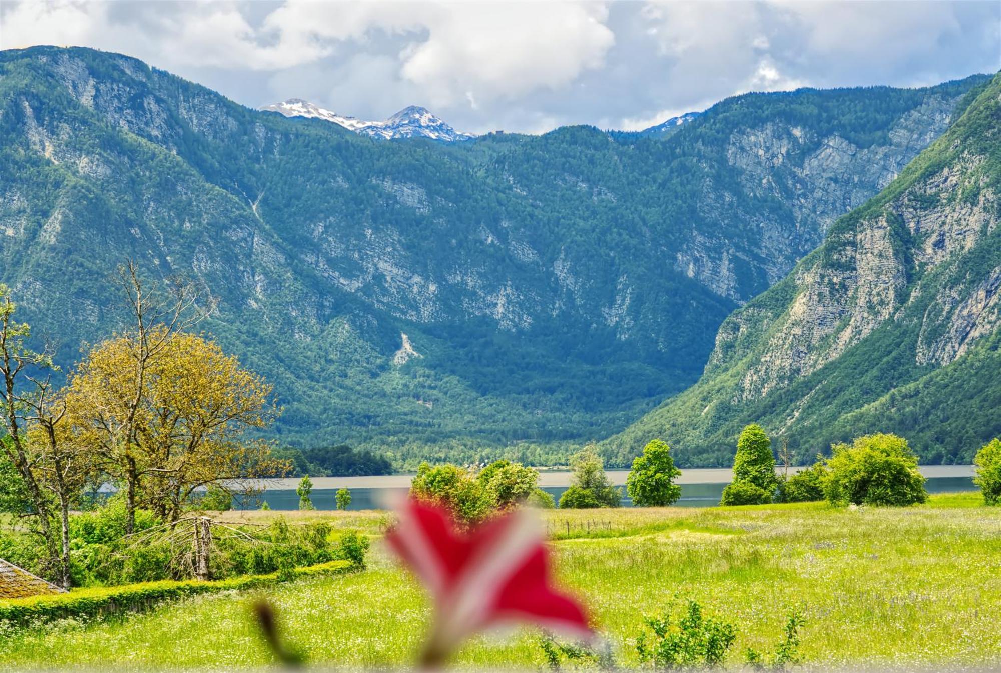 Apartments Kovacic Bohinj Exteriér fotografie